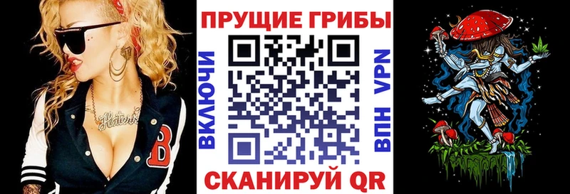 Псилоцибиновые грибы ЛСД  Новороссийск 