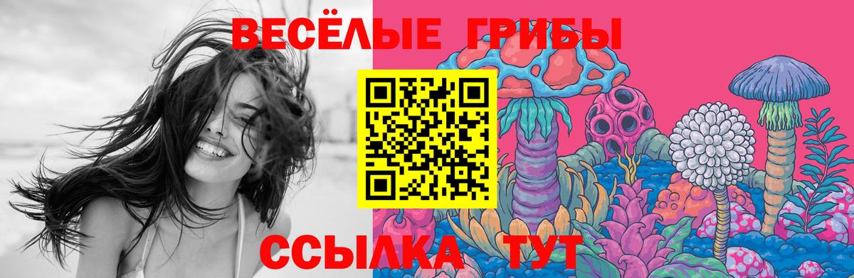 Галлюциногенные грибы ЛСД Новороссийск