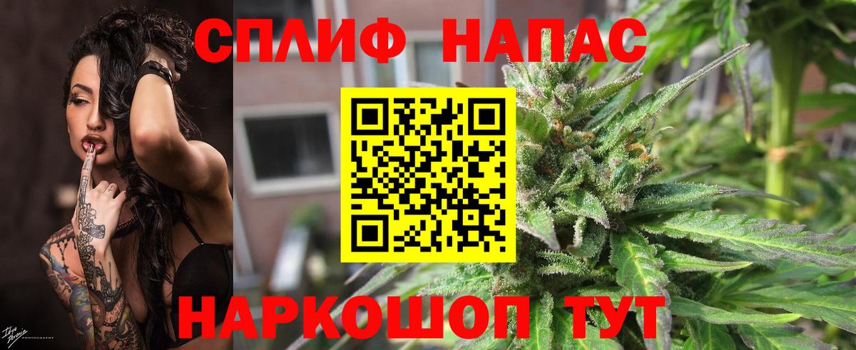 Конопля Bruce Banner Новороссийск